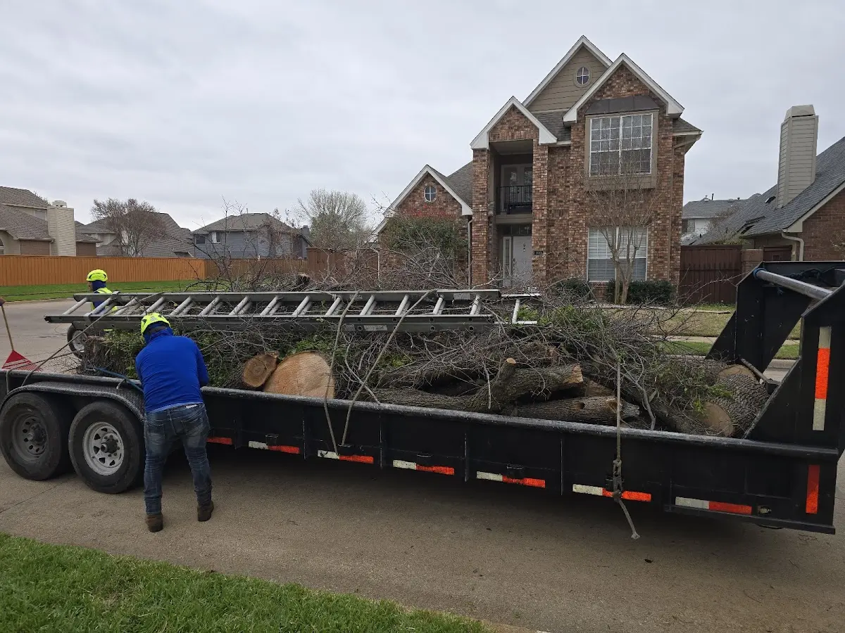 Expert Tree Fertilization with proper safety equipment in Panaca